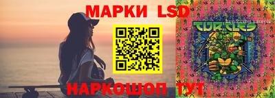 соль ск Можга