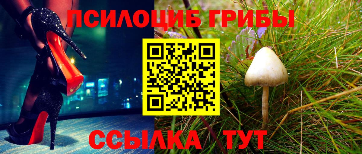 Псилоцибиновые грибы Psilocybine cubensis  Вход с VPN  Тверь 
